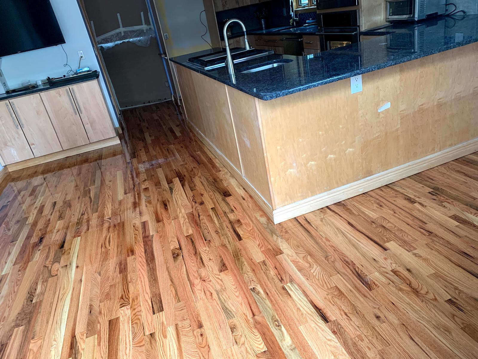 Proyecto de remodelación 63